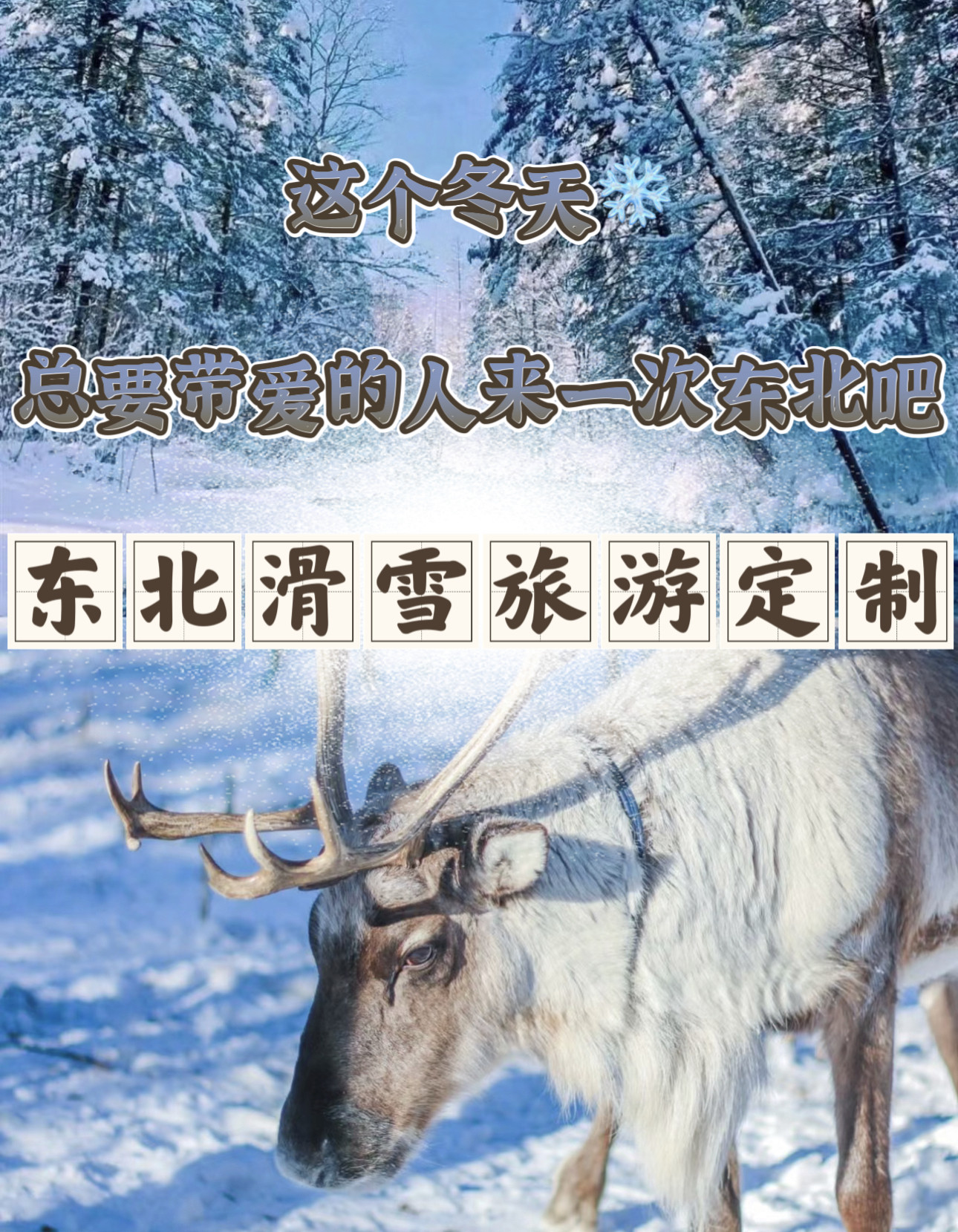 自由行旅行国内游旅游咨询规划哈尔滨滑雪亚布力雪乡全国各地定做