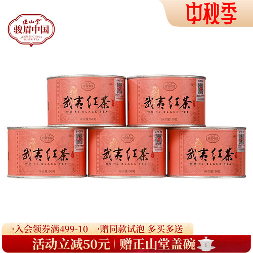 正山堂武夷红茶武夷山小种冷泡茶
