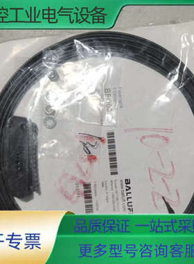 Balluff/巴鲁夫光纤传感器BFO005M，型号BFO【议价】