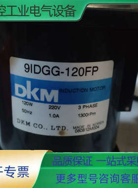DKM电机，9IDGG-120FP【议价】