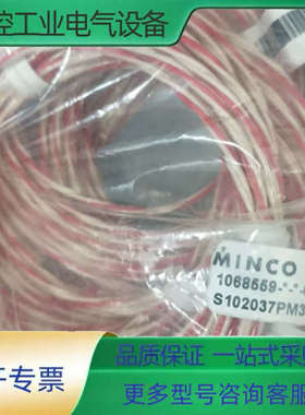 minco 1068559 pt100  温度探头S1020【议价】