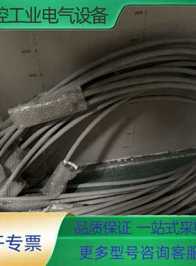 ABB链接线CJGS013 C110475.B01 L0TI【议价】