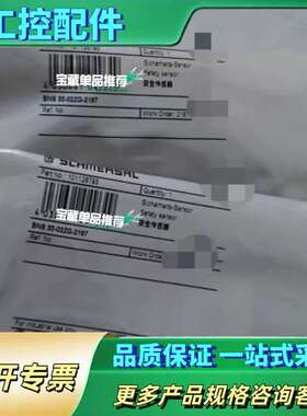 BNS 33-02ZG-2187 安全传感器 德国Schme【议价】