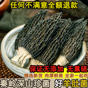 秦岭野生羊肚菌干货50g产地直发
