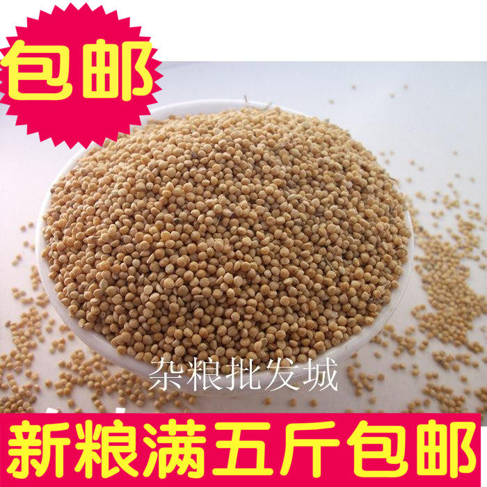 宠物黄谷子带壳小米粟谷虎皮牡丹玄凤文鸟鸟粮500g满5斤包邮