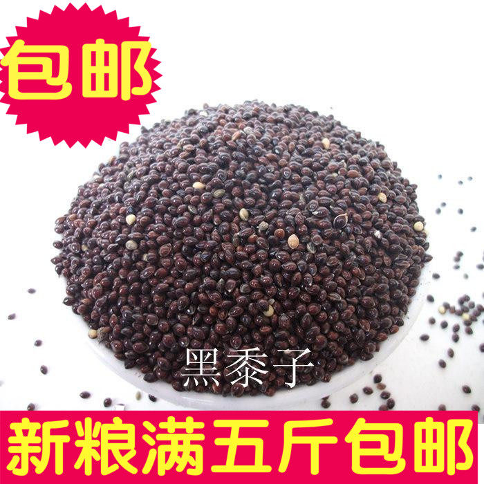 带壳大黄米/黑黍子  鹦鹉 鸟食 一件等于一斤 满5斤包邮