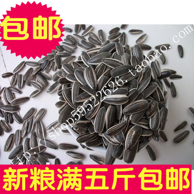 杂粮新粮生瓜子/葵花籽原味大