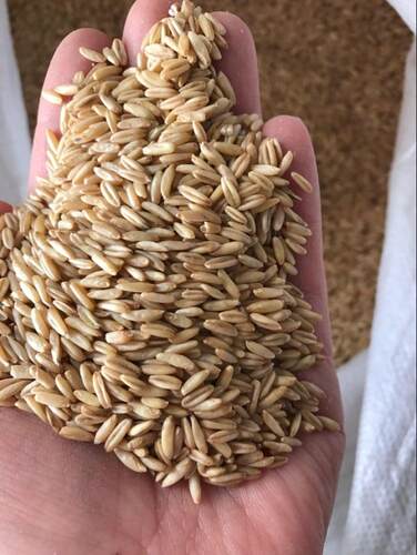杂粮燕麦仁裸燕麦牡丹虎皮