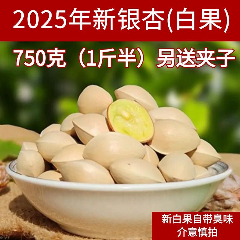 【尝新季】2025年新银杏带壳白果邳州特产新鲜生百果仁无漂白带壳