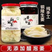 无添加铜陵生姜白姜1800g安徽特产糖醋酸甜姜醋泡嫩姜酱汁咸生姜