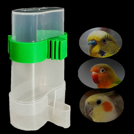 鸟用饮水器虎皮牡丹玄凤鹦鹉自动喂水器鸟用喝水器挂式鸟笼配件