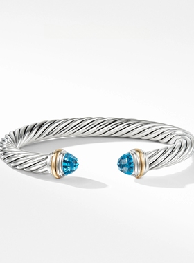 欧美时尚个性简约百搭s925银手镯女气质高级感轻奢小众7mm手环