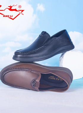 万里简约舒适单鞋商务休闲鞋真皮一脚蹬复古男鞋HET1056