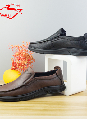 万里新款男士真皮商务休闲鞋舒适圆头套脚低帮单鞋SET106