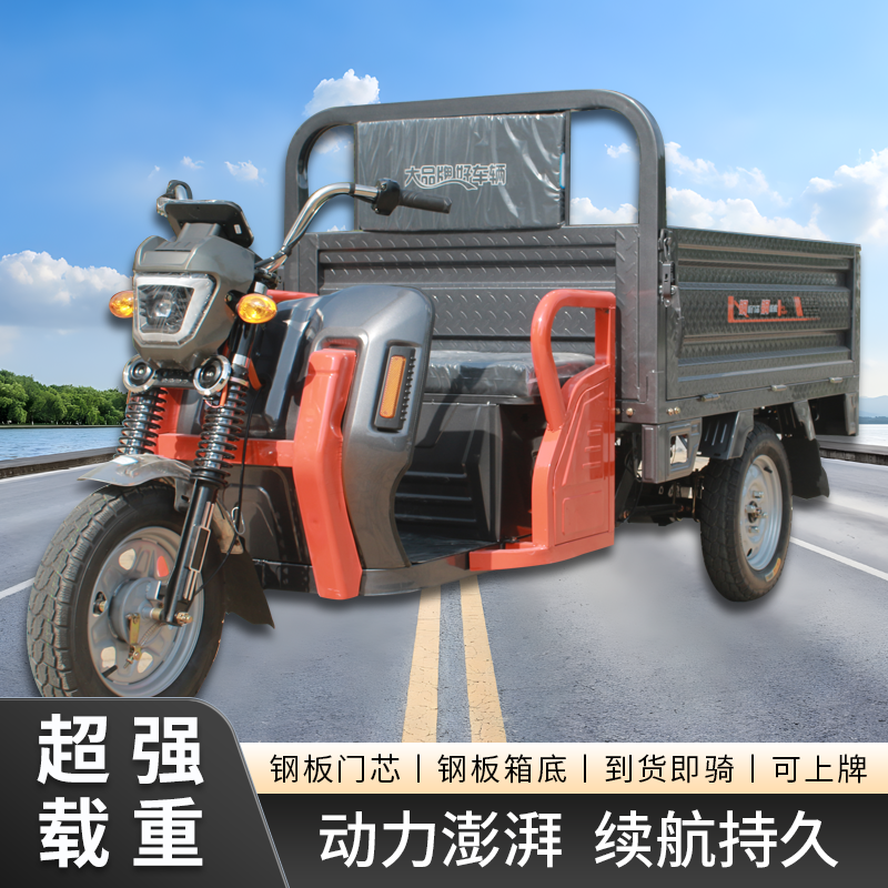电动三轮车载重王家用拉货山区爬坡王货运农用品牌新款国标电瓶车