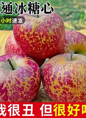 正宗云南昭通冰糖心丑苹果10斤装新鲜水果当季现摘孕妇红富士萍果