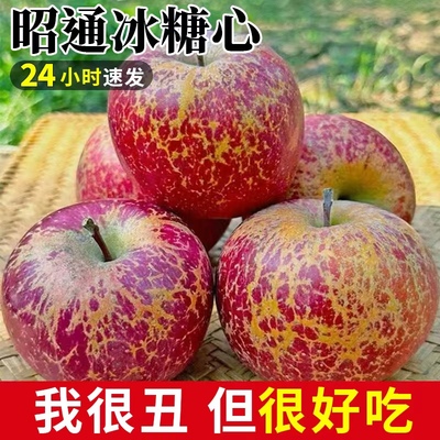 正宗云南昭通丑苹果冰糖心
