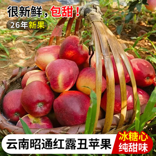 现摘云南昭通红露丑苹果冰糖心新鲜水果整箱装当季5/10斤包邮脆甜