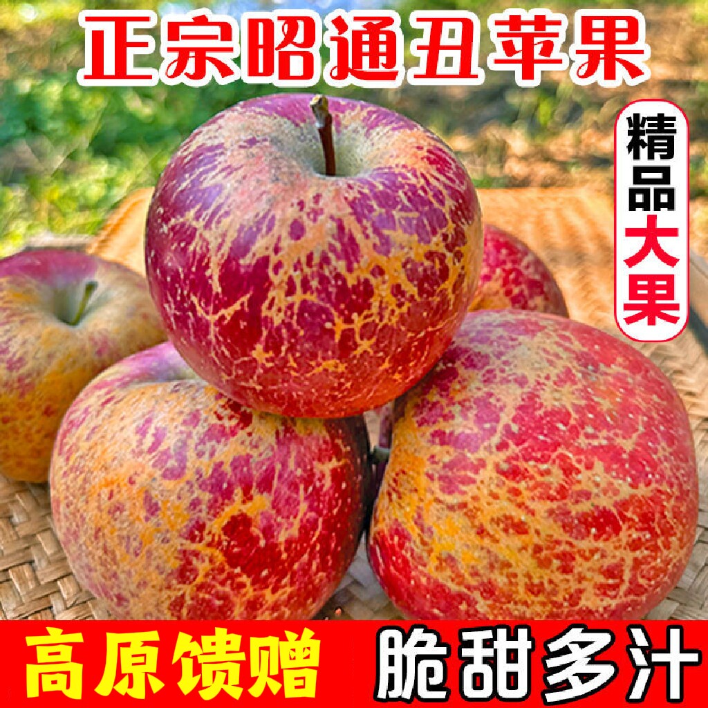 正宗云南昭通冰糖心丑苹果水果新鲜2026当季非大凉山丑糖心苹果