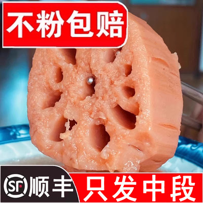 【正宗洪湖粉藕】现挖顺丰包邮