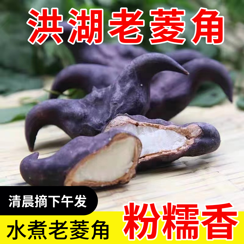 洪湖菱角新鲜现摘老菱角特大湖北特产野生青菱角带壳凌角时令蔬菜