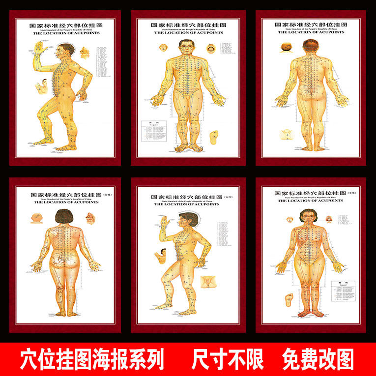 人体穴位经络图大挂图 中医针灸艾灸女性穴位海报 按摩墙贴画