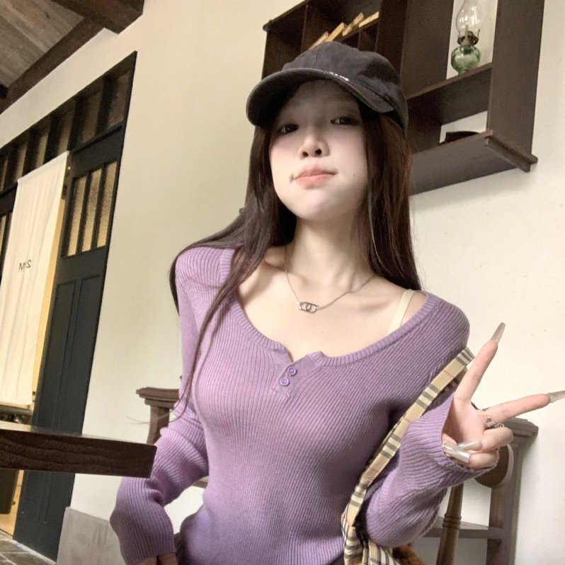 气质紫色半开领内搭针织衫女早秋季新款设计感小众别致软糯上衣