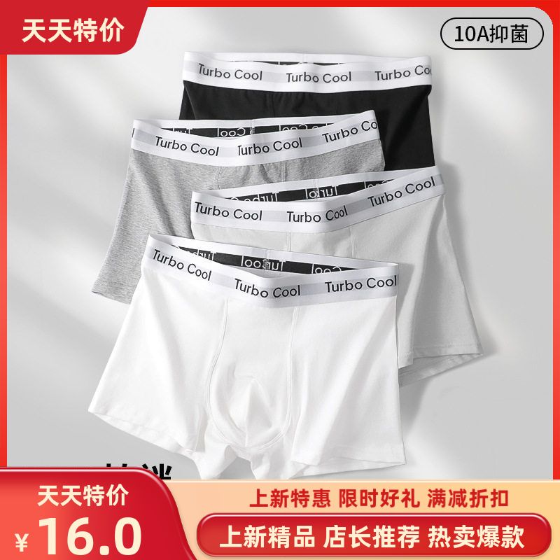 裤透气抗菌中腰10裆四角运动短裤