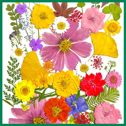 手工diy干花押画植物书签材料包