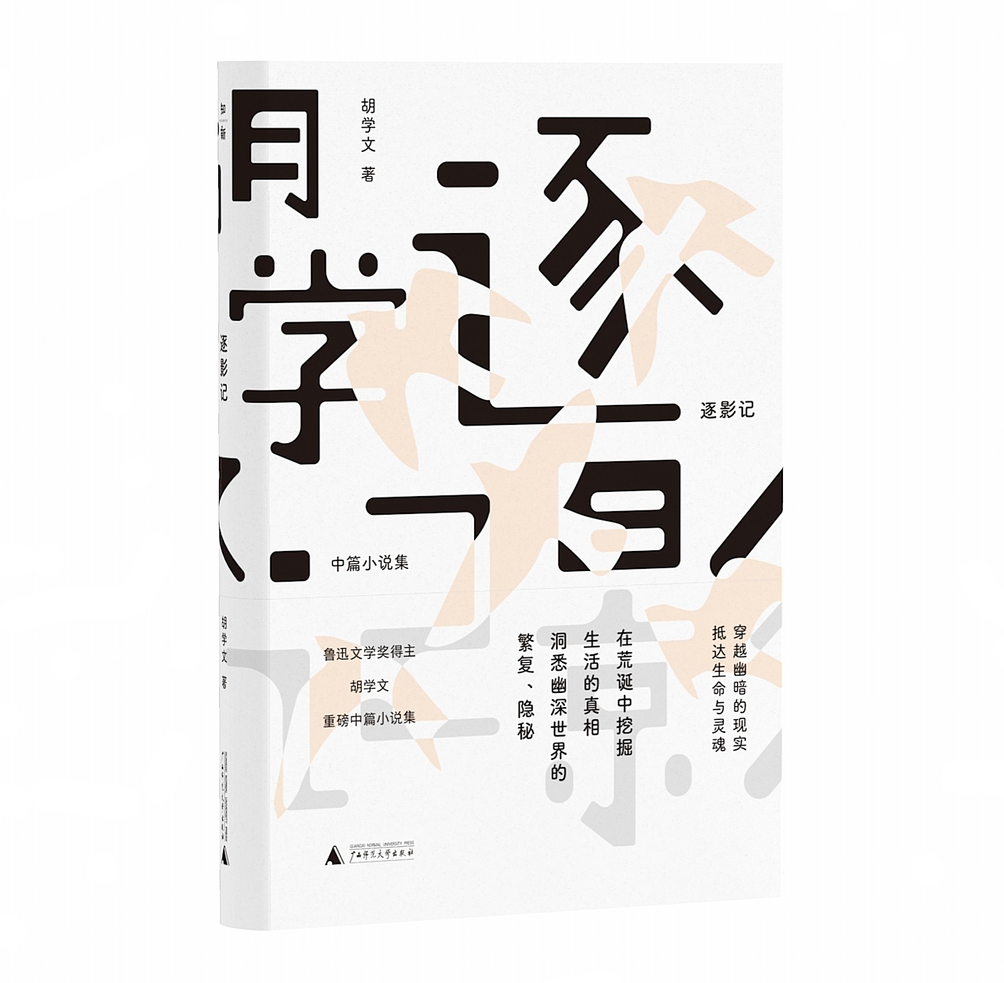 预售逐影记中篇小说学文