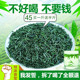 绿茶2025新茶毛尖特级浓香型雨前散装 日照口粮茶叶750g 袋装