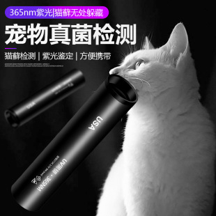 伍德氏灯照猫藓猫尿真菌检测紫外线手电筒荧光剂365nm紫光验钞灯