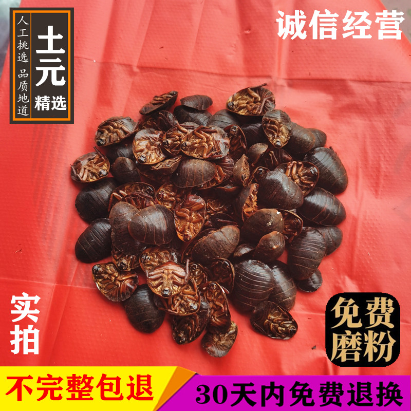 中药材土元500g克新货筛选土鳖虫地鳖虫个大土元干土元干货非活体