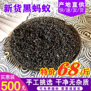 广西黑蚂蚁横县500g拟黑多刺蚁非长白山中药材干晒养身泡酒料磨粉