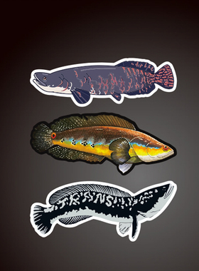 汉魂贴纸适用于Snakehead蛇头鱼黑鱼乌鳢财鱼贴纸汽车贴纸8152