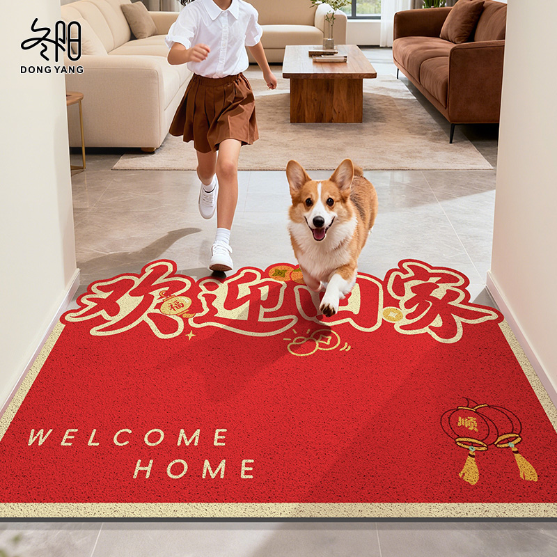 入户门垫新年室内除尘丝圈地垫