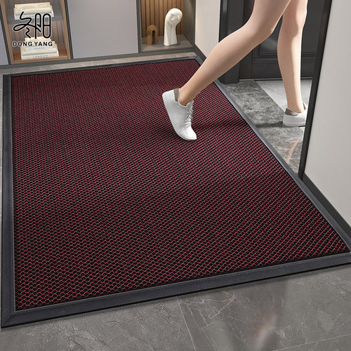 入户门地垫2024新款高级感进门免洗脚垫门口防滑门垫门外耐脏地毯