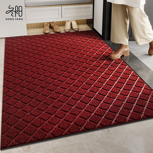 入户门垫室内防滑专用高级感地垫