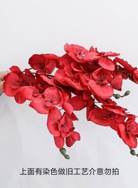婚房布置套装结婚礼装饰新房卧室客厅男女方仿真蝴蝶兰仿植插花