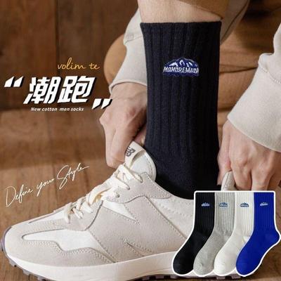 袜子男款雪山标中筒袜刺绣袜不臭脚透气百搭学生情侣加厚四季可穿