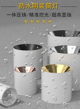 户外防水筒灯明装防眩吊线吸顶雨棚车站露台商场超市室内泳池射灯