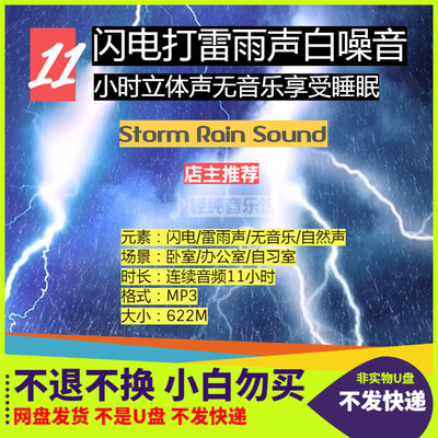 闪电打雷暴雨纯雨声白噪音无音乐睡眠环境音11小时自然立体声MP3