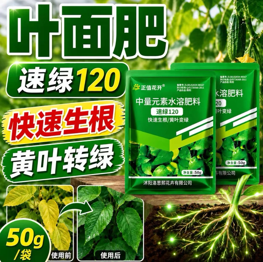 水溶蔬菜水溶肥叶绿素叶面肥一喷绿速绿120溶肥农用养花蔬菜通用
