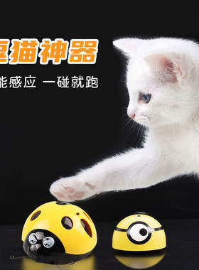 神器小黄人自动感应宠物猫咪