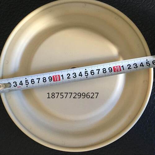 派沙克气动隔膜泵隔膜片A40AL-P99-A 气动泵隔膜-40 6248-1