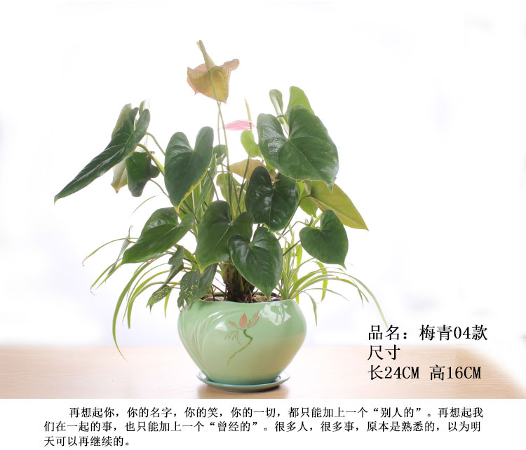 大号简约欧式青瓷花盆个性家庭室内精致创意陶瓷绿植物盆栽包邮