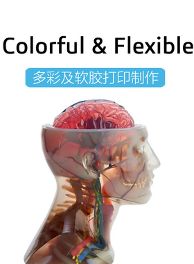 Stratasys全彩色3D打印服务医疗模型彩色人像3D打印彩色动漫模型
