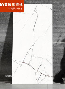 罗马磁砖 通体大理石瓷砖 客厅地板砖釉面砖地砖背景墙砖RT18305P