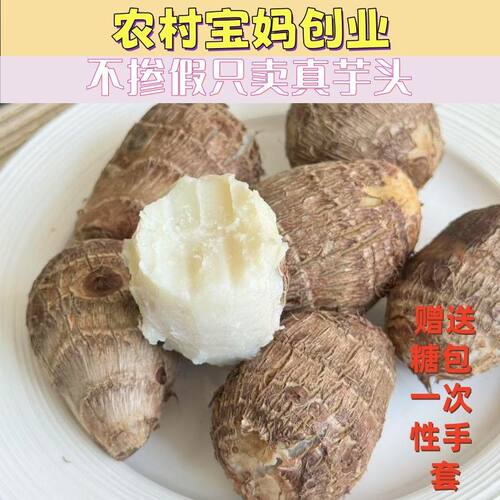 山东牛奶小芋头现挖奶香软糯
