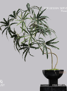 妖及仿真孔雀木落地盆栽摆件